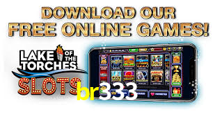 VIP Casino br333