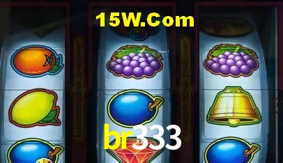 Ofertas Exclusivas br333