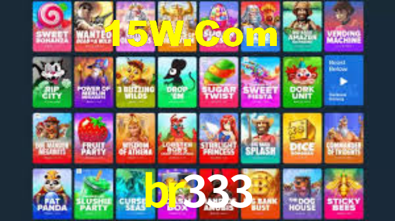 br333