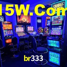 br333