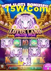 Casino Ao Vivo br333